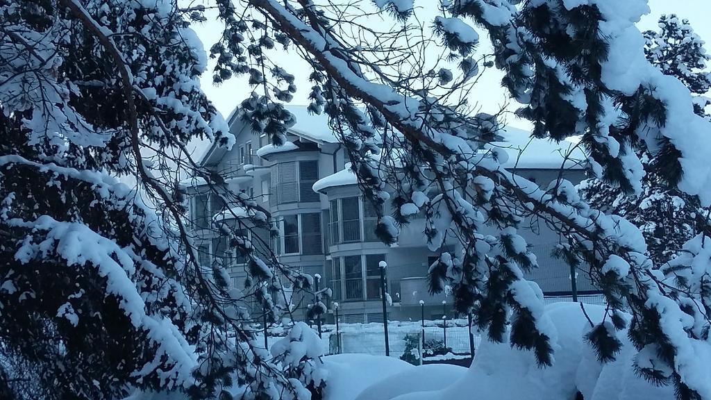 Appartement Am Schlatterberg Altenmarkt im Pongau Exteriör bild